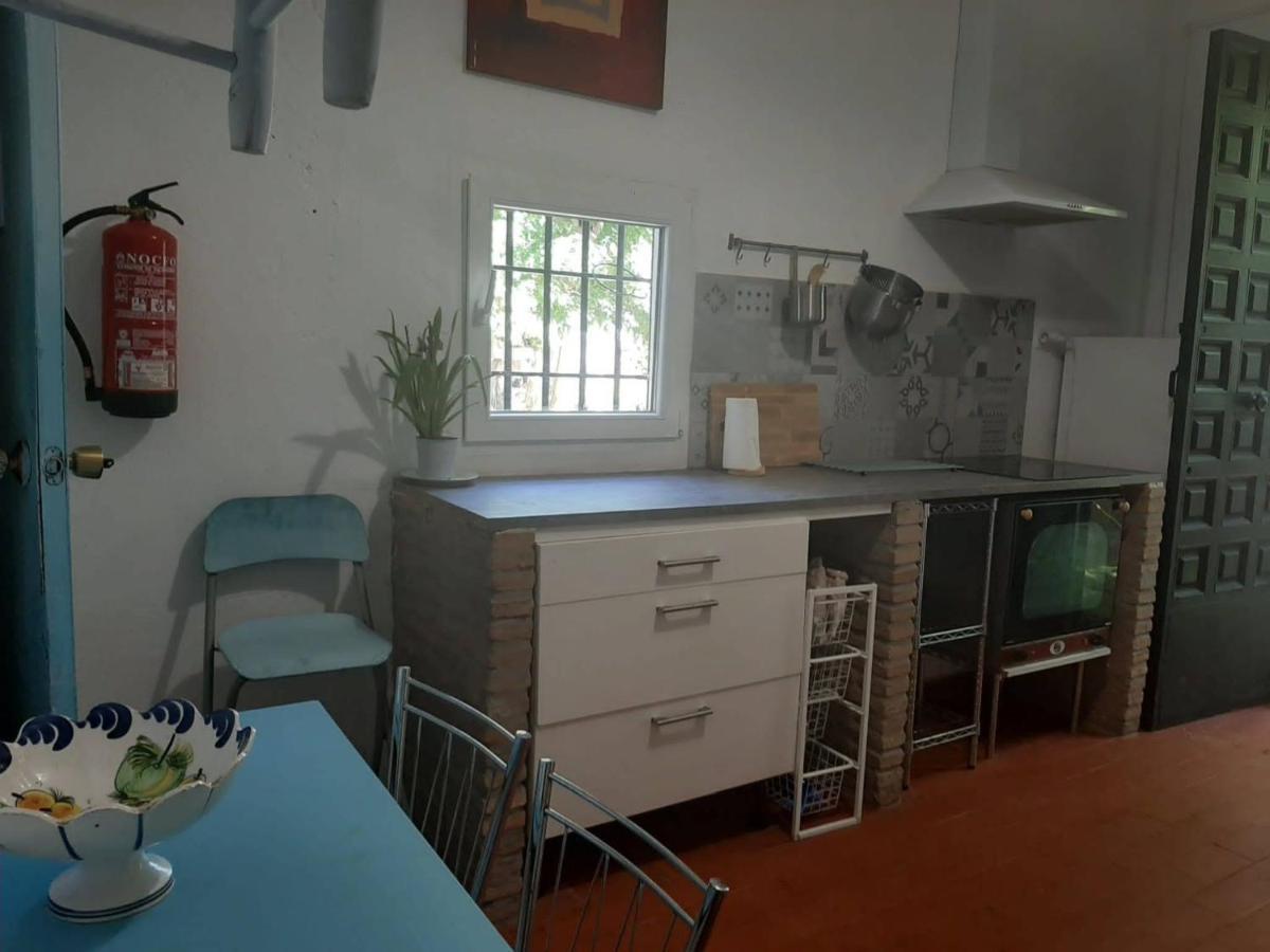 Finca El Naranjo セビリア エクステリア 写真