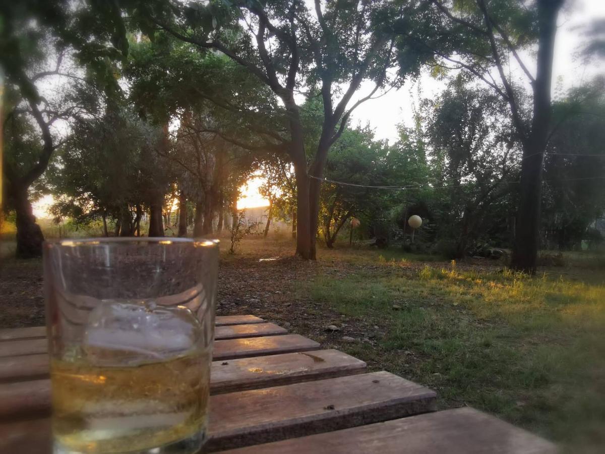 Finca El Naranjo セビリア エクステリア 写真