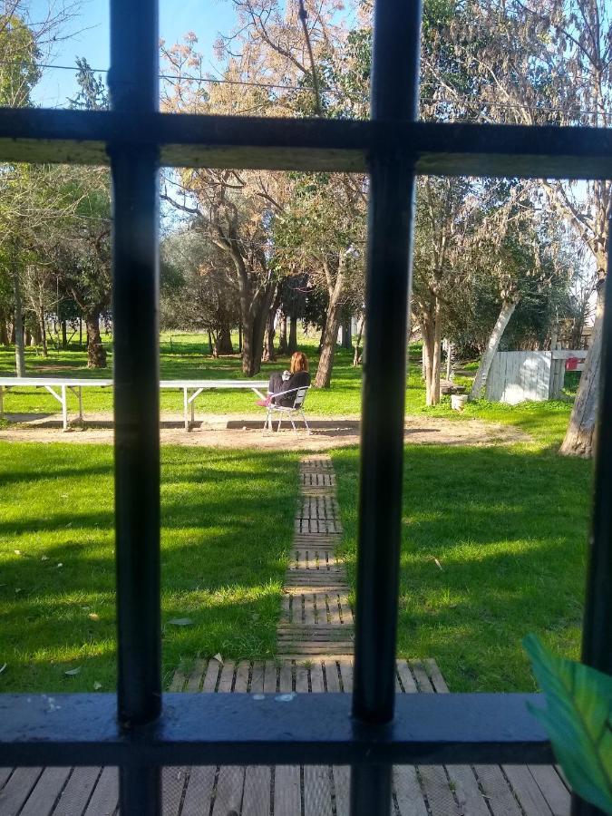 Finca El Naranjo セビリア エクステリア 写真