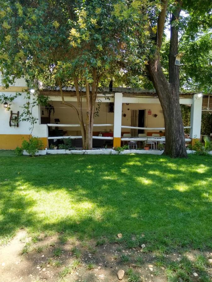 Finca El Naranjo セビリア エクステリア 写真