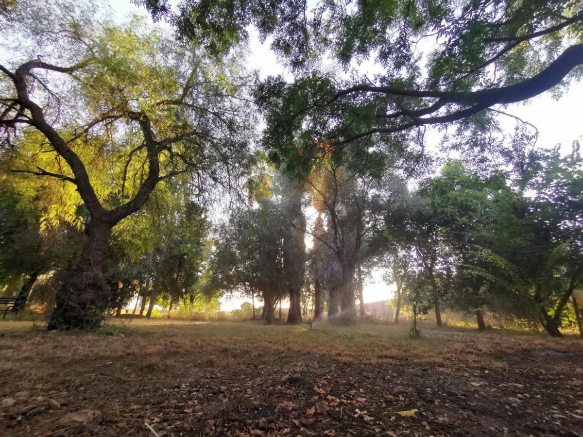 Finca El Naranjo セビリア エクステリア 写真